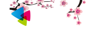 AK小说